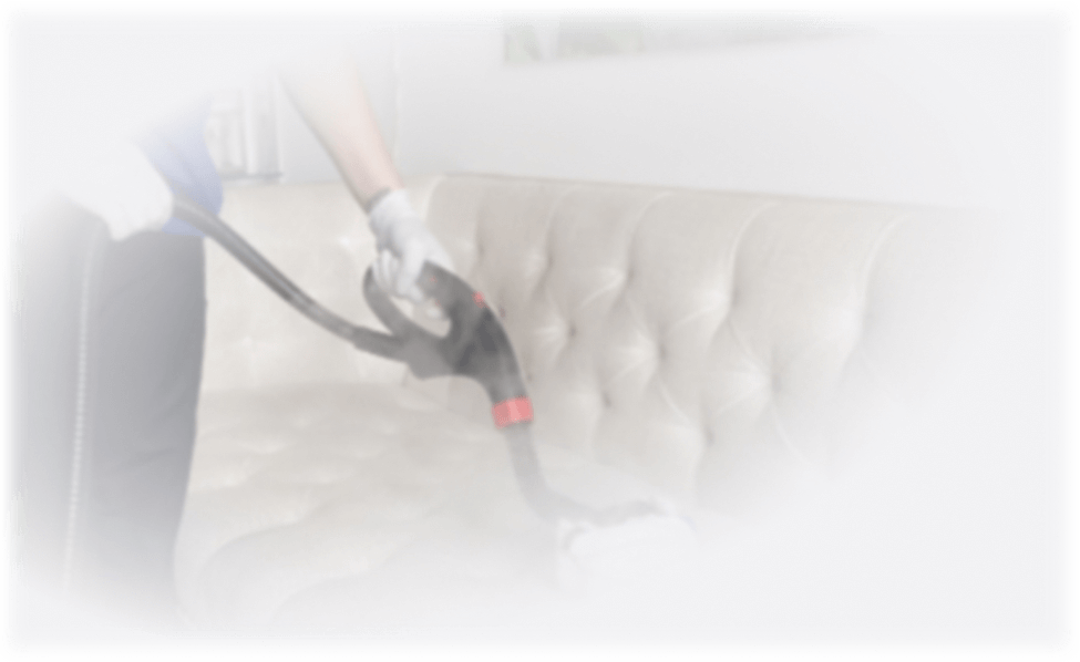 maid steaming couch