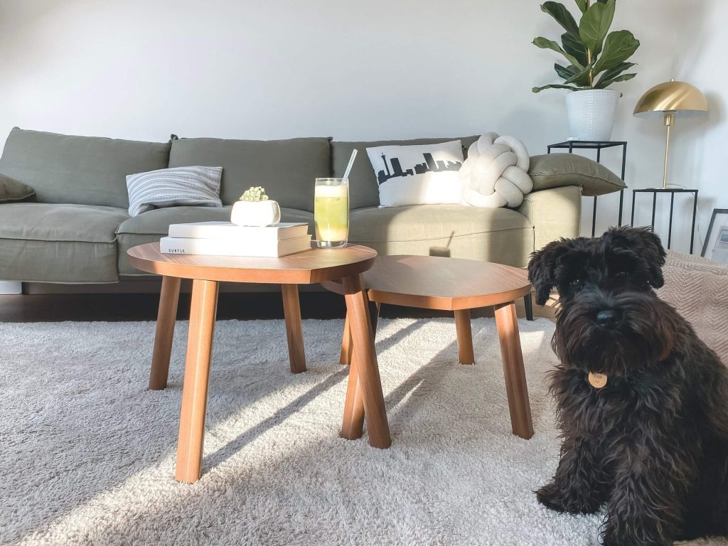 black carpet in living room