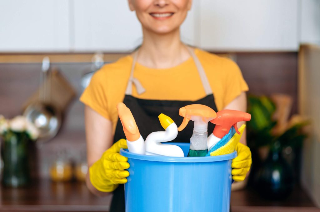 Professional Home Cleaner